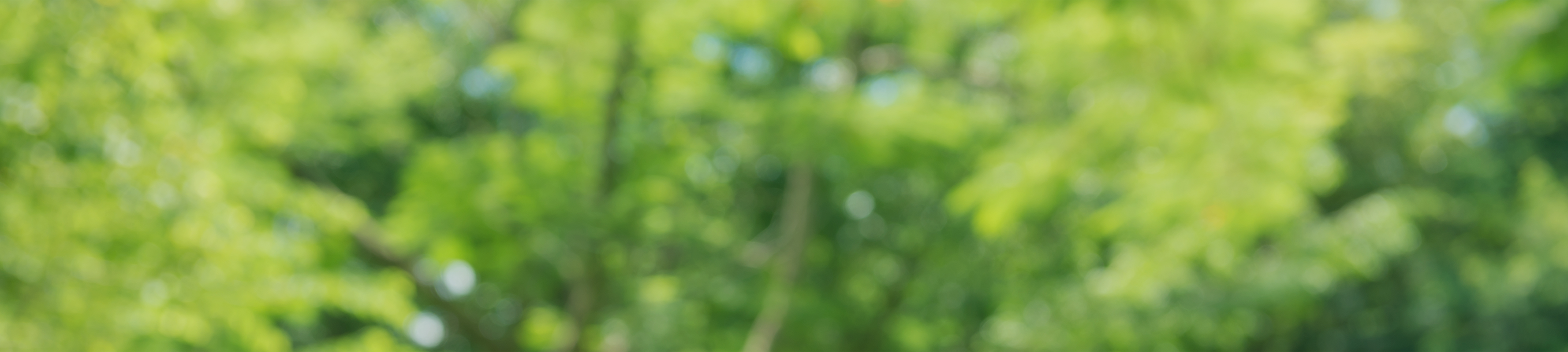 PuzzleClinic メンタルクリニック 「ほっとできる場所で、心とからだに寄り添う診療を」このクリニックを選んでよかった、そう思っていただけるよう、精一杯努めてまいります。